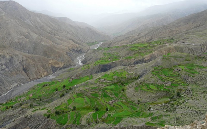 THE UNTAMED WEST - DOLPO 